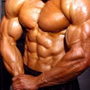 Bodybuilding - Gym Exercises APK