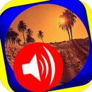 Tamasheq NT franç Engl Arabe APK