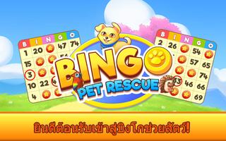 บิงโกช่วยสัตว์ โปสเตอร์