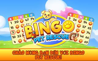 Bingo Pet Rescue bài đăng