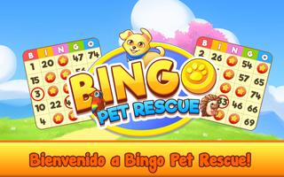 Bingo Pet Rescue Poster