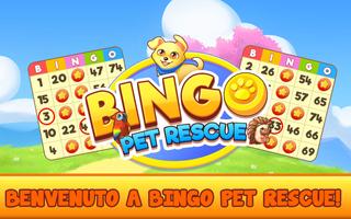 Poster Bingo Pet Rescue