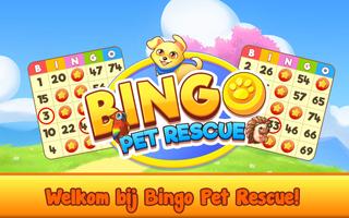 Bingo Pet Rescue-poster