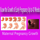 KNOW THE GROWTH OF EARLY PREGNANCY UP TO 42 WEEKS أيقونة