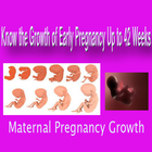 KNOW THE GROWTH OF EARLY PREGNANCY UP TO 42 WEEKS आइकन