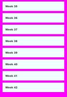 KNOW THE GROWTH OF EARLY PREGNANCY UP TO 42 WEEKS تصوير الشاشة 1