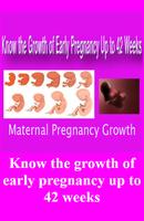 KNOW THE GROWTH OF EARLY PREGNANCY UP TO 42 WEEKS capture d'écran 2
