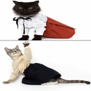 cat supplies APK