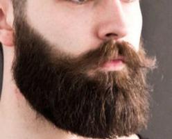 râu trim phong cách ảnh chụp màn hình 3