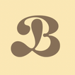 Brio Studio icon
