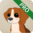 APK My Protector Pro