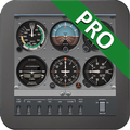 FsC172Panel Pro