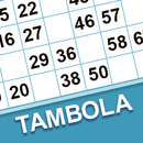 Tambola Housie with Caller APK