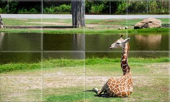 Tile Puzzle Jungle Animals 截图 3