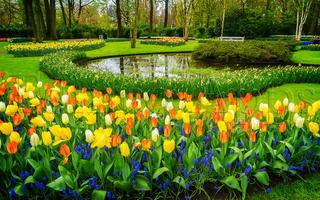 Tile Puzzle Keukenhof Garden poster