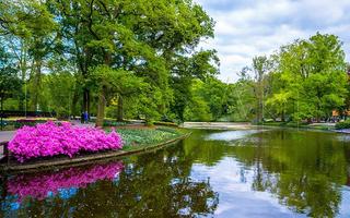 Tile Puzzle Keukenhof Garden screenshot 2