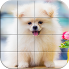 Tile Puzzle Pomeranian Dogs icône