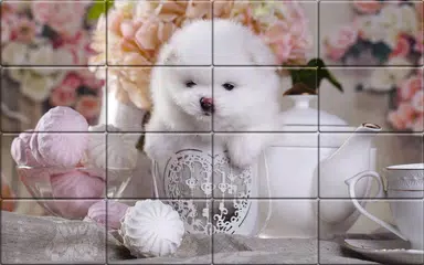 Tile Puzzle Pomeranian Dogs APK 下載