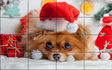 Tile Puzzle Pomeranian Dogs APK 下載