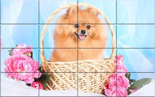 Tile Puzzle Pomeranian Dogs capture d'écran 2
