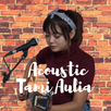 Lagu Tami Aulia Akustik APK
