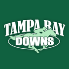 Tampa Bay Downs icône