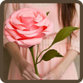 ”Paper Flower Craft