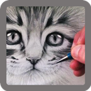 Pencil Sketch - Videos APK