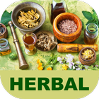 Info Tanaman Herbal Lengkap icône