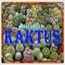 Tanaman Kaktus APK