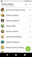 Appp.io - Canary Burung Bunyi penulis hantaran