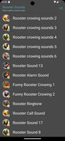 Rooster Sounds تصوير الشاشة 3