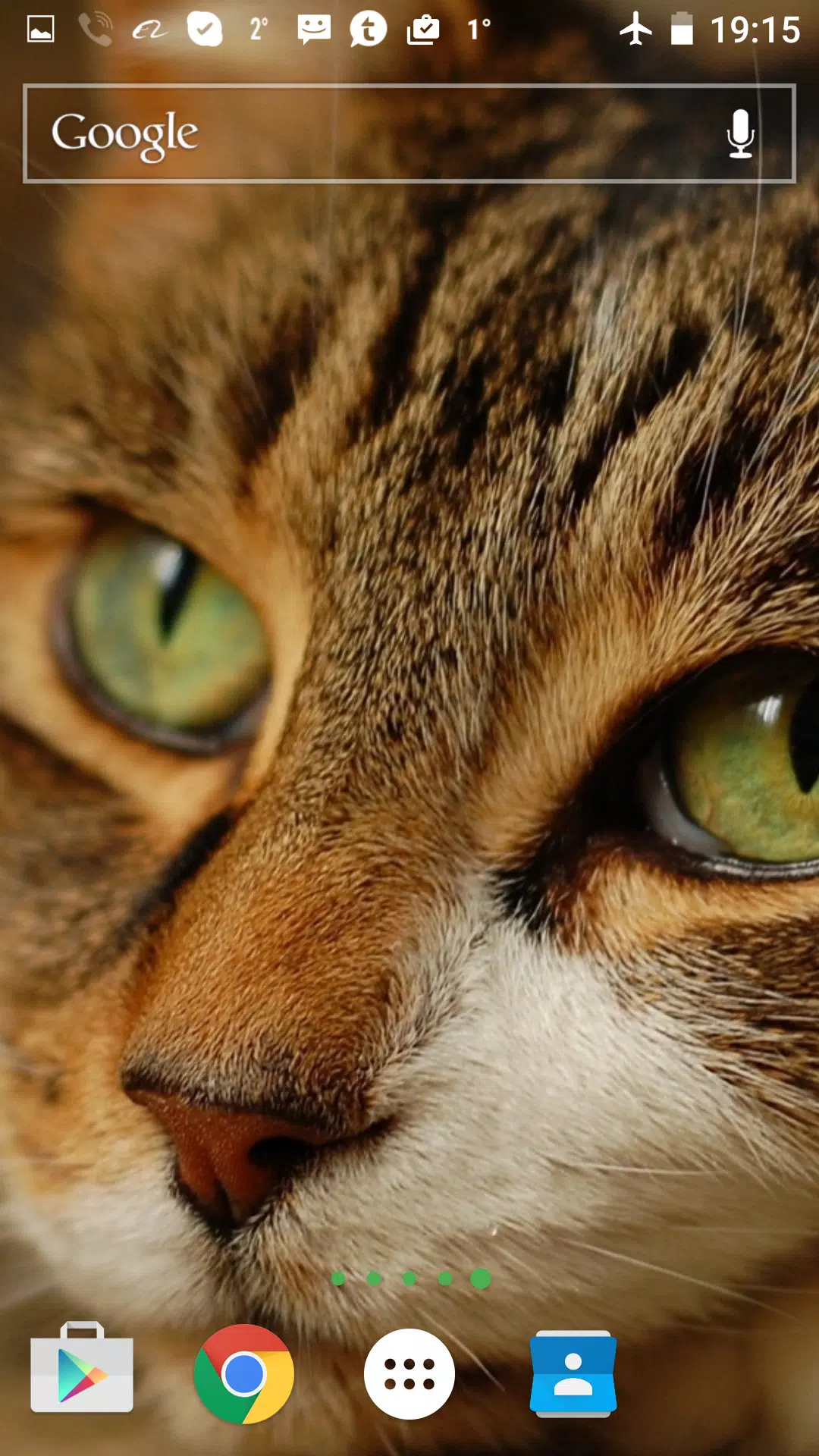 Android向けの猫の3dライブ壁紙 Apkをダウンロードしましょう