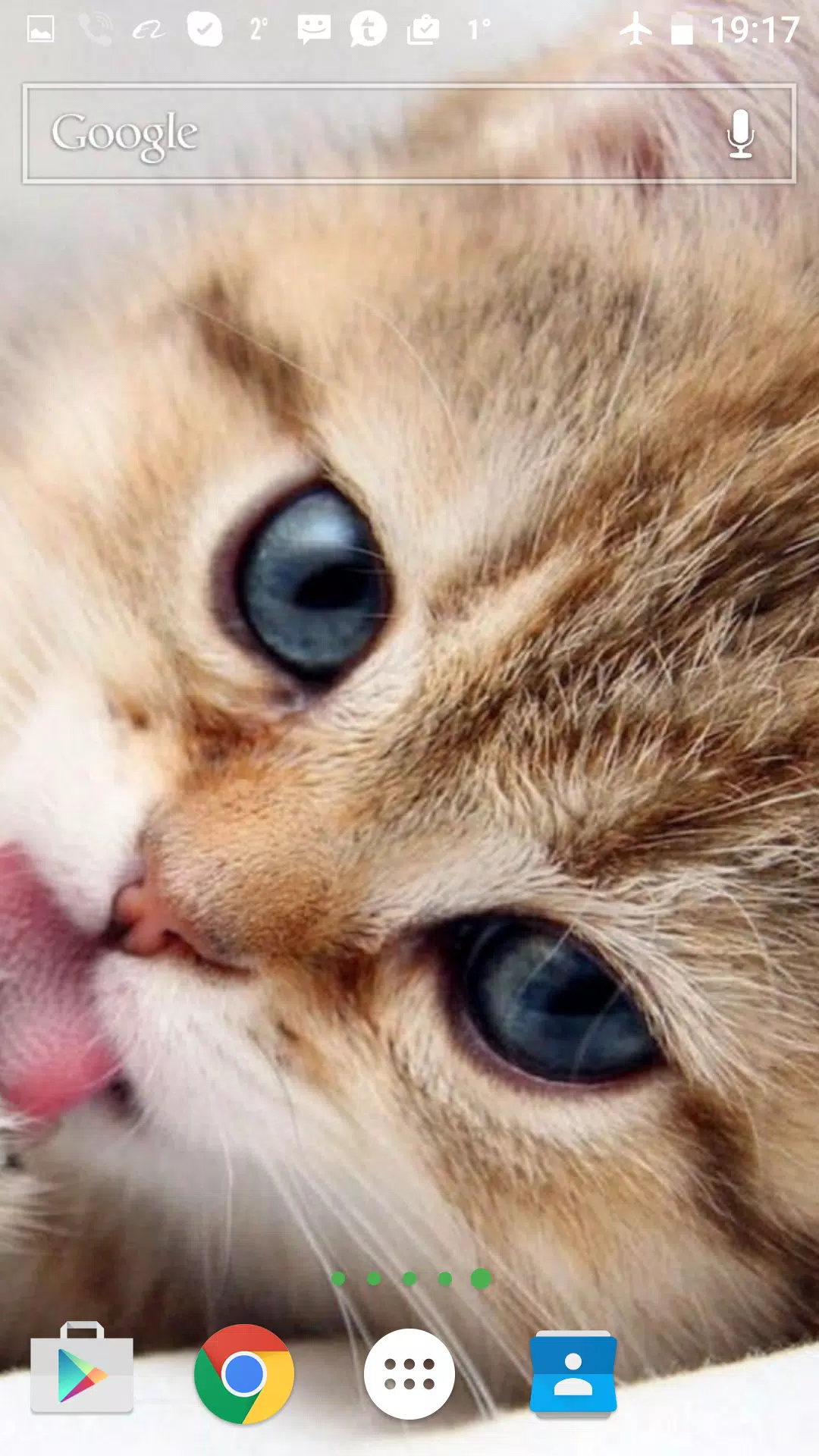 Android向けの猫の3dライブ壁紙 Apkをダウンロードしましょう