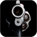 Gun Live Wallpaper
