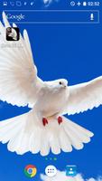 Dove 3D Live Wallpaper اسکرین شاٹ 1