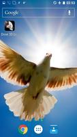 Dove 3D Live Wallpaper اسکرین شاٹ 3