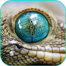 Reptile Live Wallpaper APK