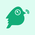 HiBirds