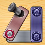 Nuts And Bolts: Screw Puzzle icon
