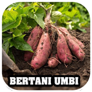 Bertani Tanaman Umbi APK