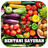 Bertani Tanaman Sayuran