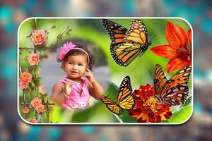 Butterfly Photo Frames Affiche