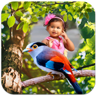 Birds Photo Frames ícone