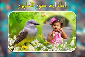 إطارات الصور الطيور. تصوير الشاشة 2