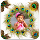 APK Peacock Feather Photo Frames