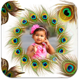 Peacock Feather Photo Frames Zeichen