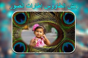 إطارات صور ريش الطاووس الملصق