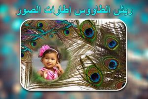 إطارات صور ريش الطاووس تصوير الشاشة 3