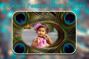 Peacock Feather Photo Frames Affiche
